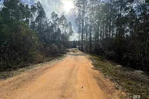 51235 Phillipsville Rd, Bay Minette, AL 36507 - Photo 41