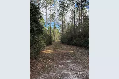 51235 Phillipsville Road, Bay Minette, AL 36507 - Photo 59