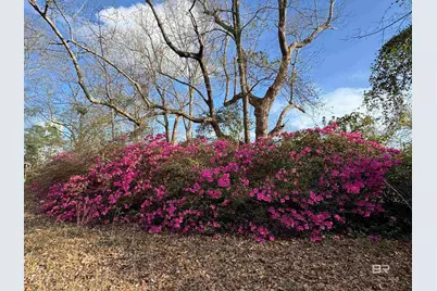 21898 Broad Street, Silverhill, AL 36576 - Photo 13