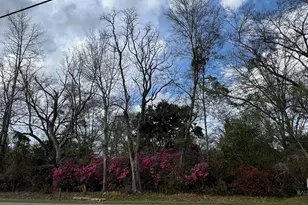 21898 Broad St, Silverhill, AL 36576 - Photo 7