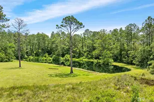 20800 Co Rd 87, Robertsdale, AL 36567 - Photo 3