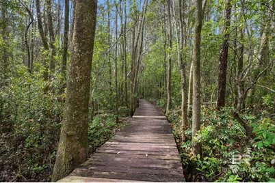 24711 County Road 20, Elberta, AL 36530 - Photo 15
