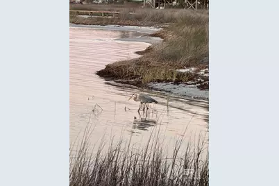 649 Cherokee Road, Gulf Shores, AL 36542 - Photo 39