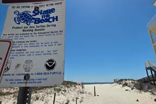 649 Cherokee Rd, Gulf Shores, AL 36542 - Photo 39