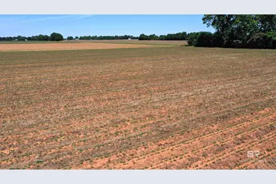 0 Highway 89, Jay, FL 32565 - Photo 15