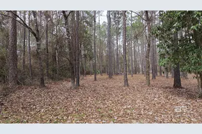 0 Wolf Bay Drive, Foley, AL 36535 - Photo 23
