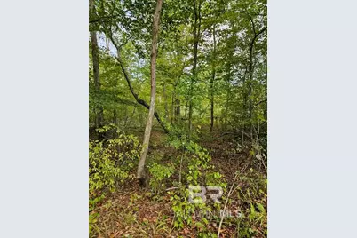 0 County Road 79, Waterloo, AL 36577 - Photo 35