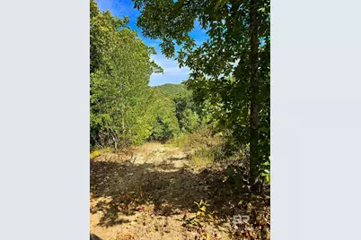 0 County Road 79, Waterloo, AL 36577 - Photo 11