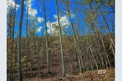 0 County Road 79, Waterloo, AL 36577 - Photo 5