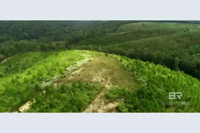 0 County Road 79, Waterloo, AL 36577 - Photo 33