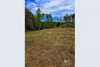 0 County Road 79, Waterloo, AL 36577 - Photo 39