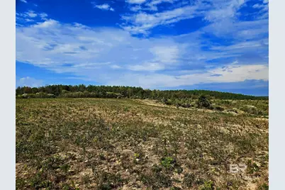 0 County Road 79, Waterloo, AL 36577 - Photo 7