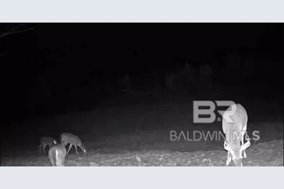 0 County Road 79, Waterloo, AL 36577 - Photo 29