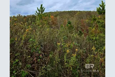 0 County Road 79, Waterloo, AL 36577 - Photo 19