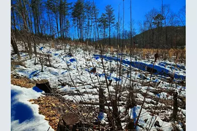 0 County Road 79, Waterloo, AL 36577 - Photo 15