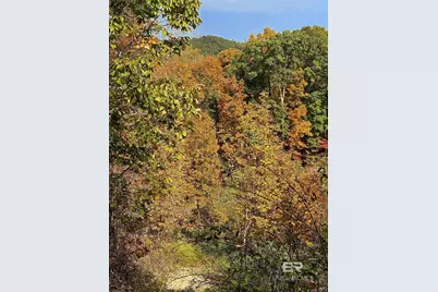 0 County Road 79, Waterloo, AL 36577 - Photo 37