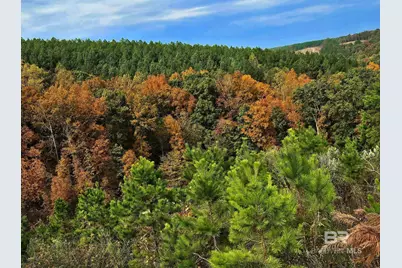 0 County Road 79, Waterloo, AL 36577 - Photo 31
