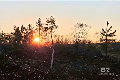 0 County Road 79, Waterloo, AL 36577 - Photo 25