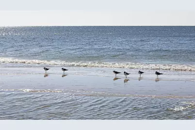 25770 Blufton Avenue, Orange Beach, AL 36561 - Photo 71