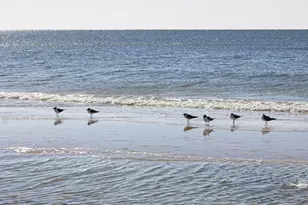 25770 Blufton Ave, Orange Beach, AL 36561 - Photo 71