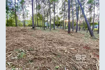 0 Blakeley Oaks Drive, Spanish Fort, AL 36527 - Photo 5