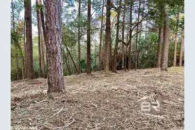 0 Blakeley Oaks Drive, Spanish Fort, AL 36527 - Photo 5
