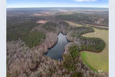 11265 State Highway 14, Greensboro, AL 36744 - Photo 93