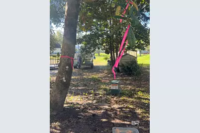 317 Magnolia Drive, Gulf Shores, AL 36542 - Photo 3