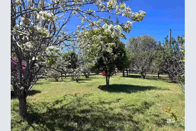 14765 Camelia Avenue, Magnolia Springs, AL 36555 - Photo 11