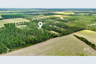 0 Gardner Road, Elberta, AL 36530 - Photo 9