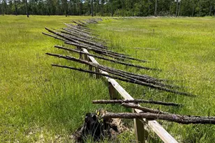 31709 Bramshell Dr, Spanish Fort, AL 36527 - Photo 51