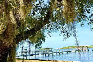 11326 Co Rd 26, Foley, AL 36535 - Photo 17