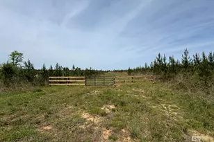 2 County Road 64, Robertsdale, AL 36567 - Photo 1