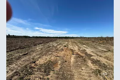 2 County Road 64, Robertsdale, AL 36567 - Photo 9