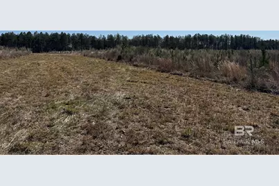 2 County Road 64, Robertsdale, AL 36567 - Photo 27