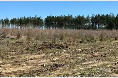 2 County Road 64, Robertsdale, AL 36567 - Photo 7