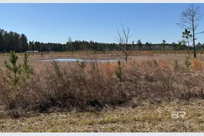 2 County Road 64, Robertsdale, AL 36567 - Photo 23
