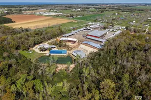 8484 US Hwy 98, Fairhope, AL 36532 - Photo 5