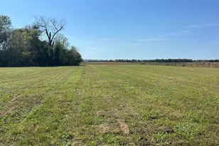 15333 Daugherty Rd, Foley, AL 36535 - Photo 1