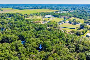 15 Woods Ave, Fairhope, AL 36532 - Photo 47