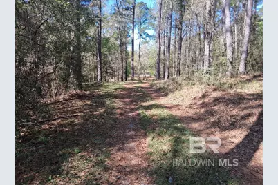 43053 State Highway 225, Bay Minette, AL 36507 - Photo 3