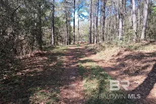 43053 State Hwy 225, Bay Minette, AL 36507 - Photo 3