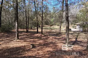 43053 State Hwy 225, Bay Minette, AL 36507 - Photo 21