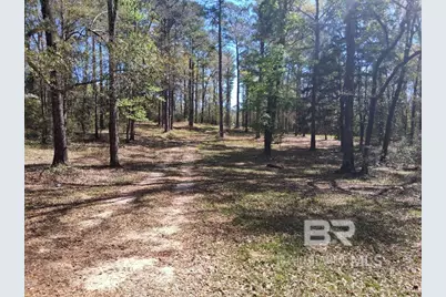 43053 State Highway 225, Bay Minette, AL 36507 - Photo 7