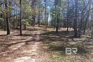 43053 State Hwy 225, Bay Minette, AL 36507 - Photo 7