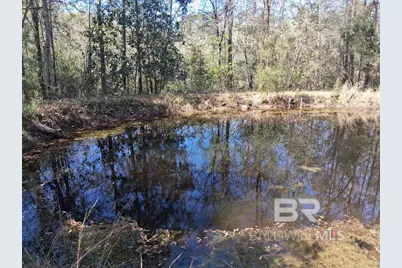 43053 State Highway 225, Bay Minette, AL 36507 - Photo 33