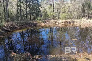 43053 State Hwy 225, Bay Minette, AL 36507 - Photo 33