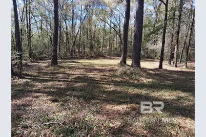 43053 State Highway 225, Bay Minette, AL 36507 - Photo 5