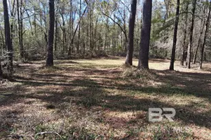 43053 State Hwy 225, Bay Minette, AL 36507 - Photo 5