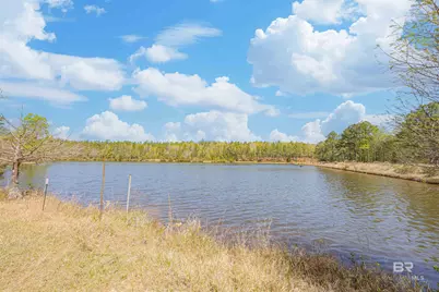 48248 Chastang Lake Road, Bay Minette, AL 36507 - Photo 65